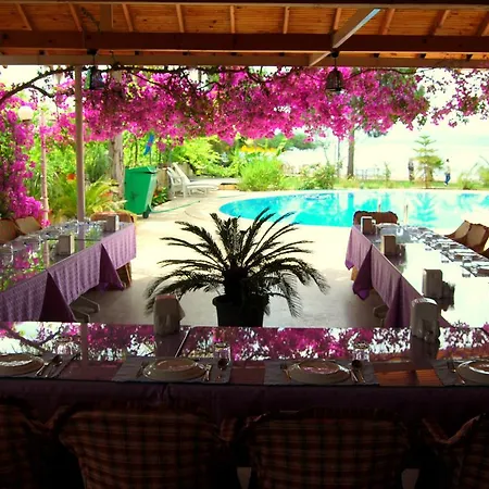 Alila Hotel *